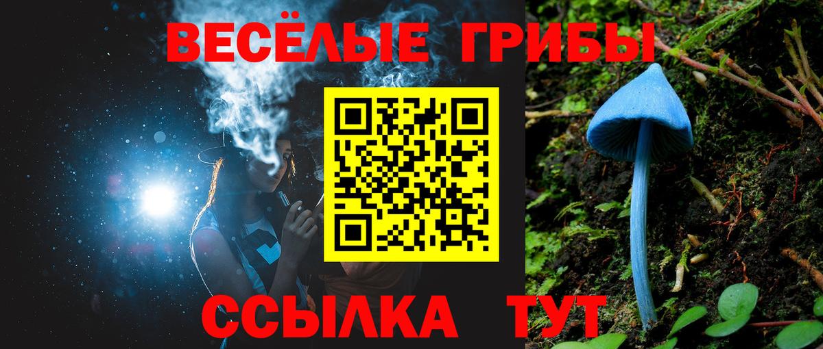 Галлюциногенные грибы Magic Shrooms Ачхой-Мартан