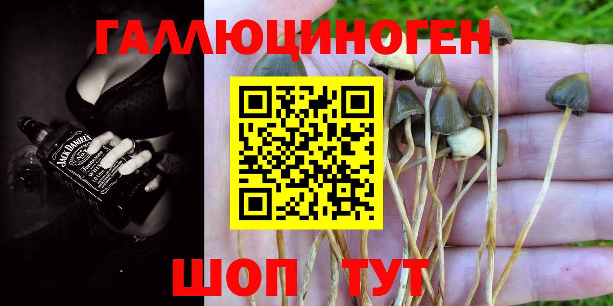 Галлюциногенные грибы мухоморы  Вход с VPN  Ачхой-Мартан 